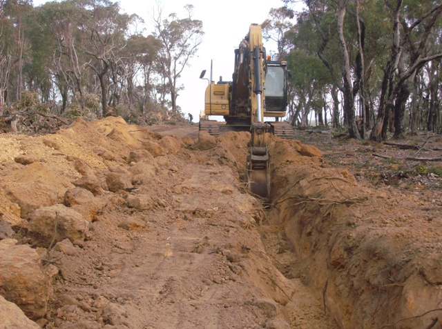 Digging the trench along the bush section.